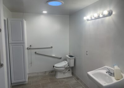 Accessible bathroom with toilet, grab bars, tall storage cabinet, and skylight
